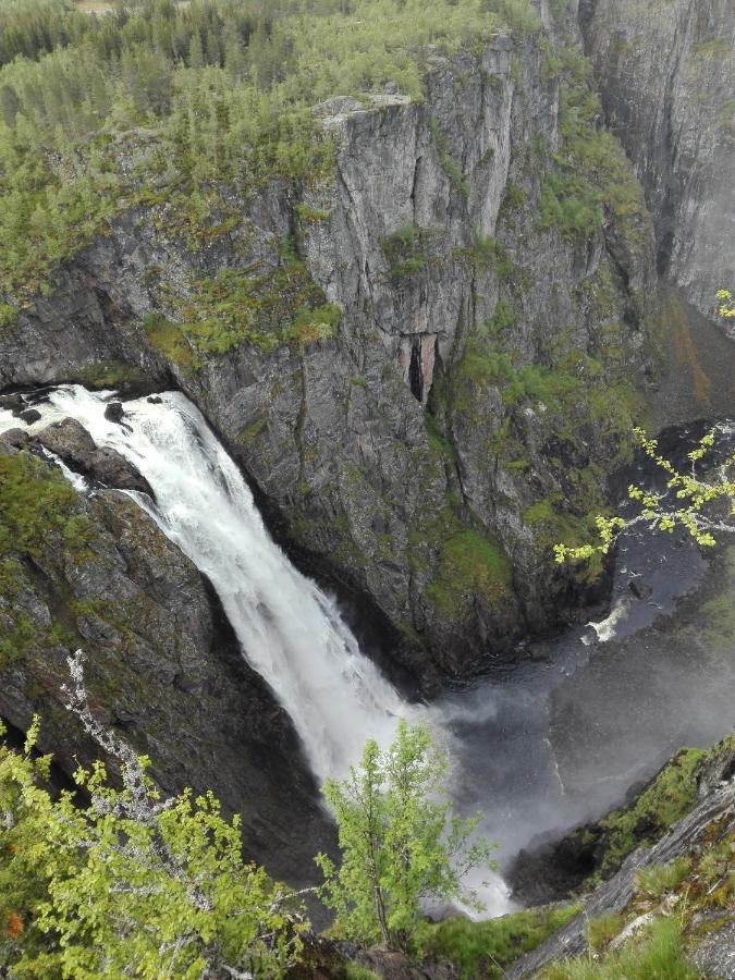 Liseth Pensjonat Og Hyttetun Eidfjord Zewnętrze zdjęcie