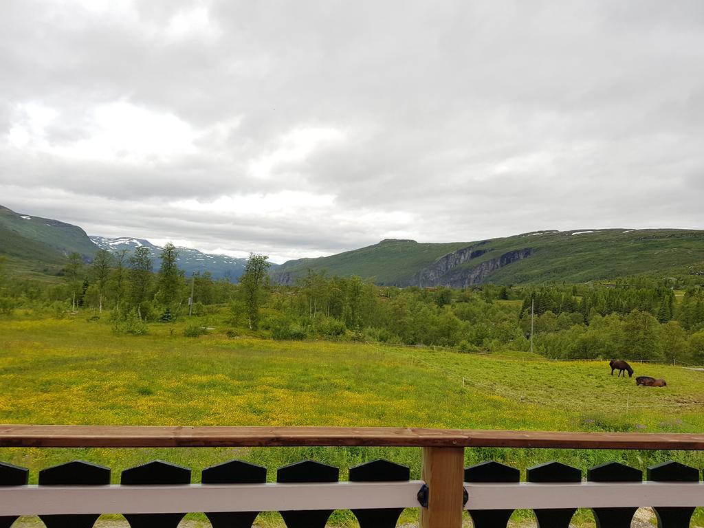 Liseth Pensjonat Og Hyttetun Eidfjord Zewnętrze zdjęcie